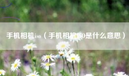 手机相机iso（手机相机ISO是什么意思）