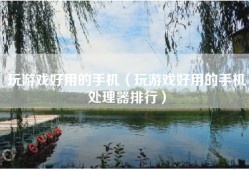 玩游戏好用的手机（玩游戏好用的手机处理器排行）