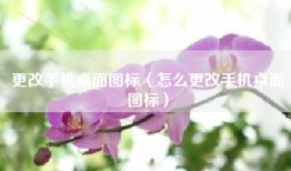 更改手机桌面图标（怎么更改手机桌面图标）