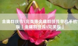 金庸群侠传X完美版金庸群侠传单机手机版「金庸群侠传X完美版」