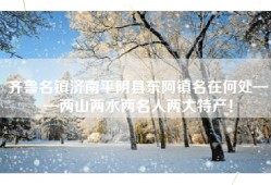 齐鲁名镇济南平阴县东阿镇名在何处——两山两水两名人两大特产！