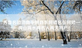 齐鲁名镇济南平阴县东阿镇名在何处——两山两水两名人两大特产！