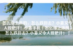 怎么涨上来的，怎么跌回去？小麦又令人捏把汗！小麦手机「怎么涨上来的，怎么跌回去？小麦又令人捏把汗！」