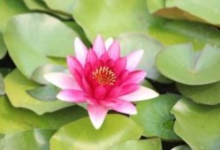 网站关键词优化什么意思，eo网站关键词优化是什么