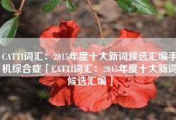 CATTI词汇：2015年度十大新词候选汇编手机综合症「CATTI词汇：2015年度十大新词候选汇编」