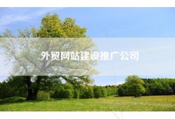 外贸网站建设推广公司