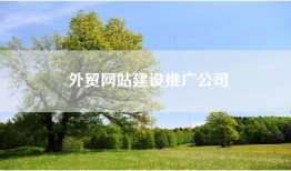 外贸网站建设推广公司