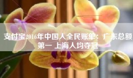 支付宝2016年中国人全民账单：广东总额第一 上海人均夺冠