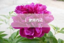 ｜ 使用方法