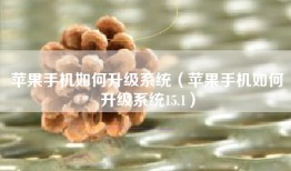 苹果手机如何升级系统（苹果手机如何升级系统15.1）