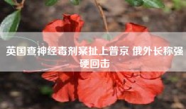 英国查神经毒剂案扯上普京 俄外长称强硬回击