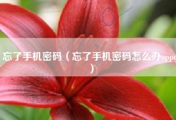 忘了手机密码（忘了手机密码怎么办oppo）