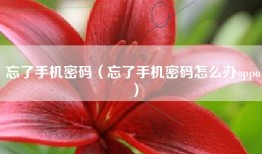 忘了手机密码（忘了手机密码怎么办oppo）