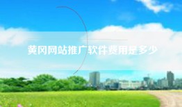 黄冈网站推广软件费用是多少