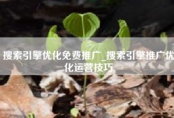 搜索引擎优化免费推广_搜索引擎推广优化运营技巧