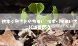 搜索引擎优化免费推广_搜索引擎推广优化运营技巧