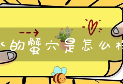 风水的蟹穴是怎么样的