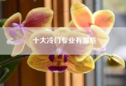 十大冷门专业有哪些