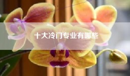 十大冷门专业有哪些