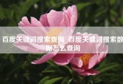 百度关键词搜索查询_百度关键词搜索数据怎么查询