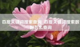 百度关键词搜索查询_百度关键词搜索数据怎么查询