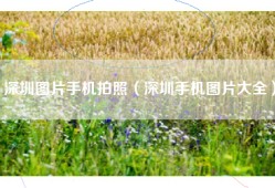 深圳图片手机拍照（深圳手机图片大全）