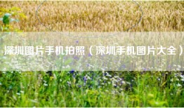 深圳图片手机拍照（深圳手机图片大全）