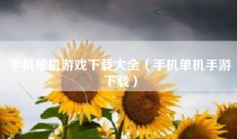 手机单机游戏下载大全（手机单机手游下载）