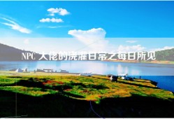 NPC 大佬的浇灌日常之每日所见
