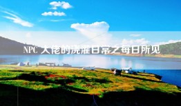 NPC 大佬的浇灌日常之每日所见