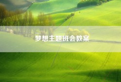 梦想主题班会教案