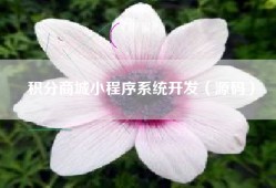 积分商城小程序系统开发（源码）