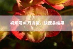 视频号100万流量，快速拿结果