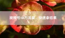 视频号100万流量，快速拿结果