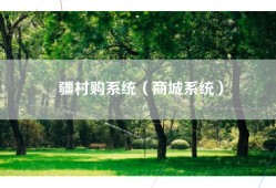 疆村购系统（商城系统）