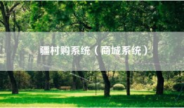 疆村购系统（商城系统）