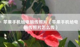 苹果手机给电脑传照片（苹果手机给电脑传照片怎么传）