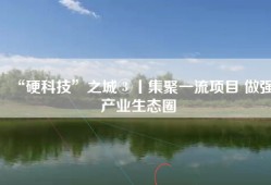 “硬科技”之城③丨集聚一流项目 做强产业生态圈