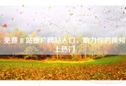 免费 B 站推广网站入口，助力你的视频上热门
