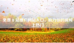免费 B 站推广网站入口，助力你的视频上热门