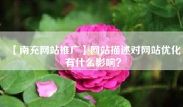 【南充网站推广】网站描述对网站优化有什么影响？