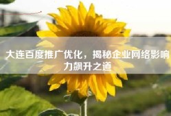 大连百度推广优化，揭秘企业网络影响力飙升之道