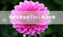 搜索引擎优化（SEO）解决方案