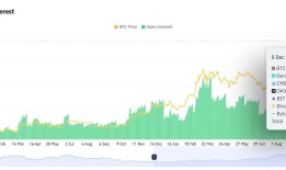 见证历史：比特币首破10万美元，下一站去哪？