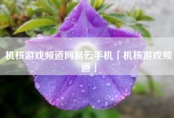 机核游戏频道网易云手机「机核游戏频道」