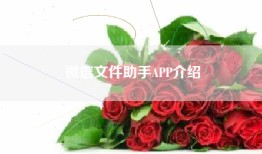 微信文件助手APP介绍
