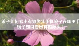 镜子如何看出有摄像头手机镜子在哪里「镜子如何看出有摄像头」