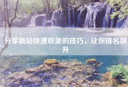 分享新站快速收录的技巧，让你排名飙升