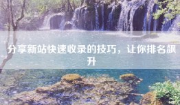 分享新站快速收录的技巧，让你排名飙升