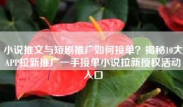 小说推文与短剧推广如何接单？揭秘10大APP拉新推广一手接单小说拉新授权活动入口